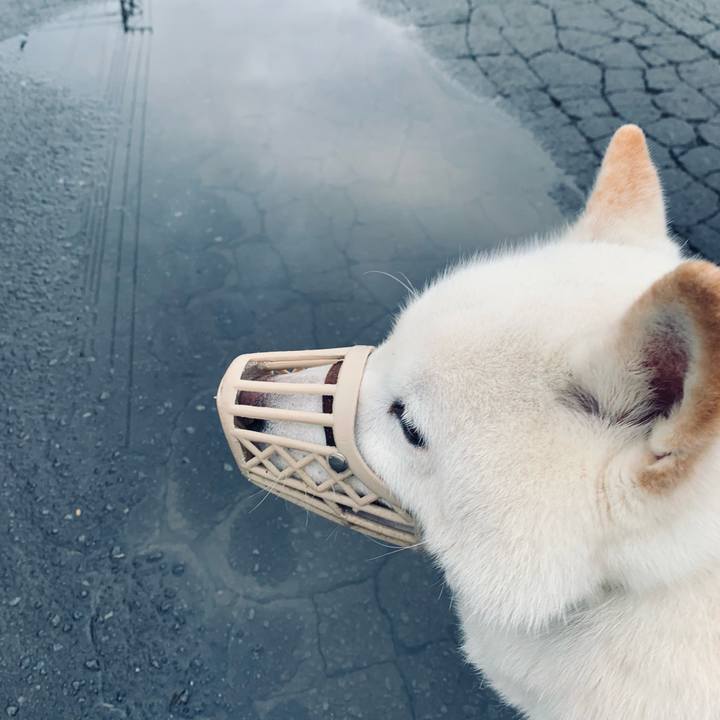 15e2f5b7 0f3f 4a8e 8e06 8d449473e920 1678488962920