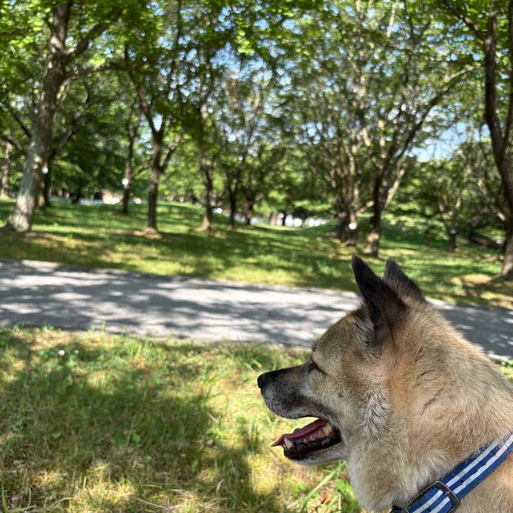 15e34226 bc61 4447 ab80 10f19a339c98 1752308017688