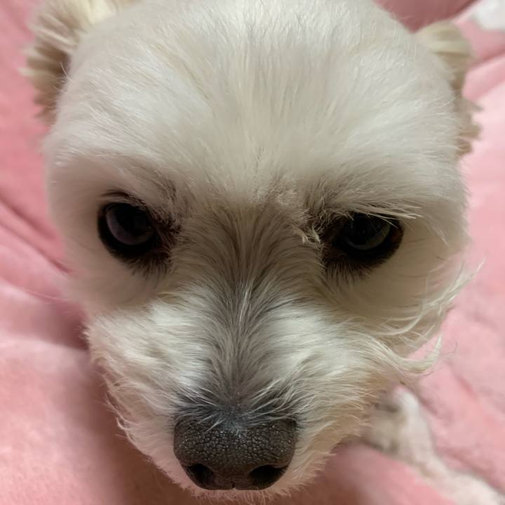 15e34804 6019 434a 99e4 1e5df6a20da2 1575801287569