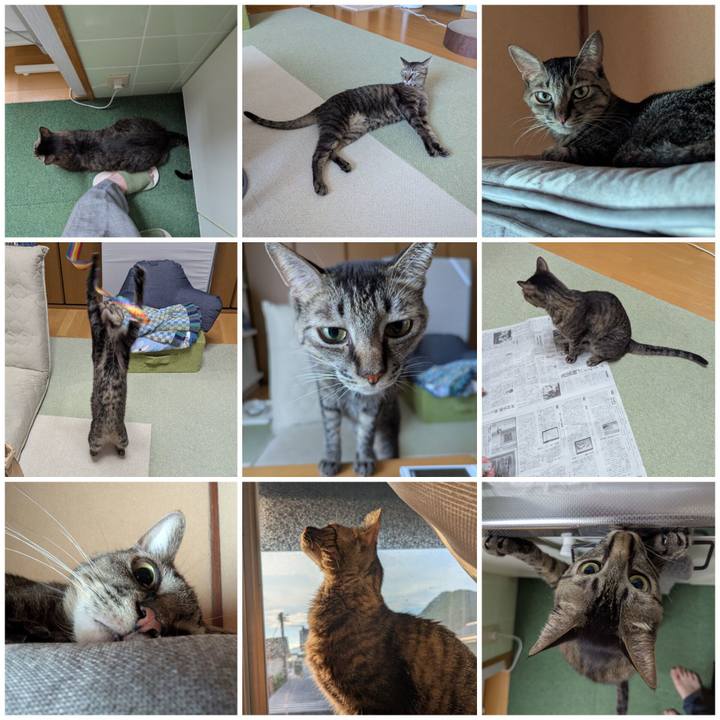 15e358cc 00b6 4562 9a38 88f235e87963 1761205668162