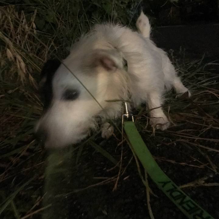 15e359f5 1550 4fa0 8f56 55d2d2401a80 1532700588772