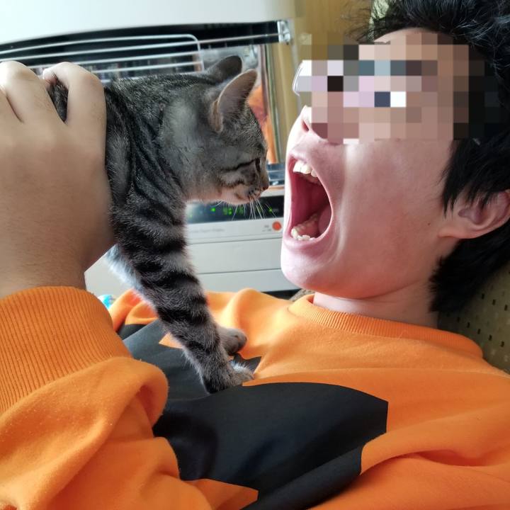 15e37c02 9a27 46ea b5fe 44180e6e5f87 1667534125061