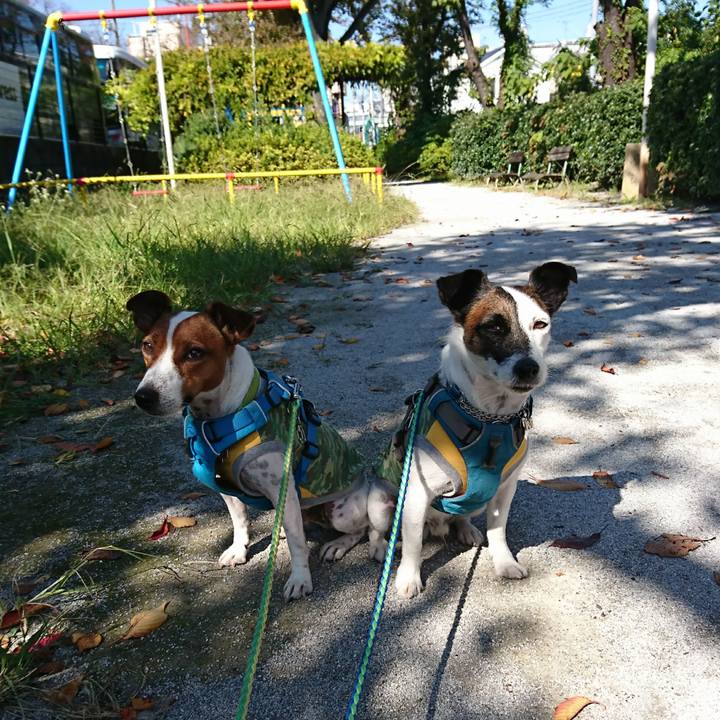 15e392d0 f1ca 4121 bfa2 1e531d1fb951 1603940370313