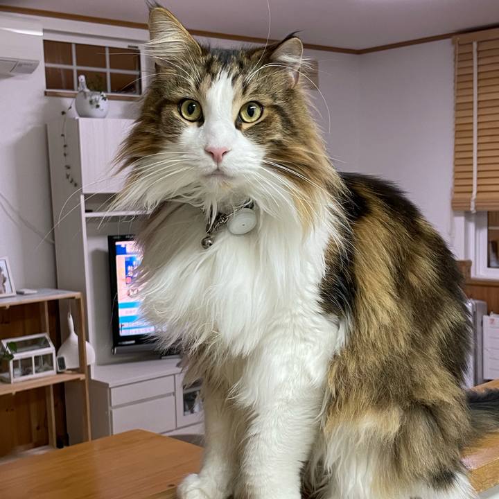 15e3a769 587f 4c17 9da2 86d5fd7cf7d3 1674676675455