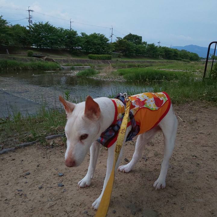 15e3bb19 396b 4797 a85b 60fb96b75b73 1559467713598