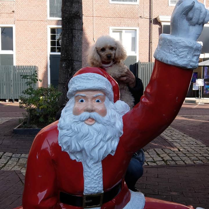 15e3e6ea a997 414c 9f29 9cf391a54e3a 1640259320363