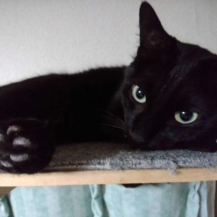 15e48424 bbe2 456b a595 108ef378f9bf 1669987590242