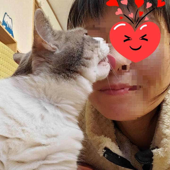 15e4b4aa 4df1 489b 88aa 81836a6954ad 1701324668789