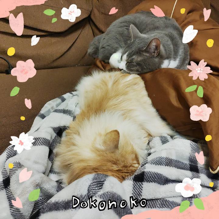 15e4c5d3 8924 4f03 a90e 844ee58f6870 1711284519572