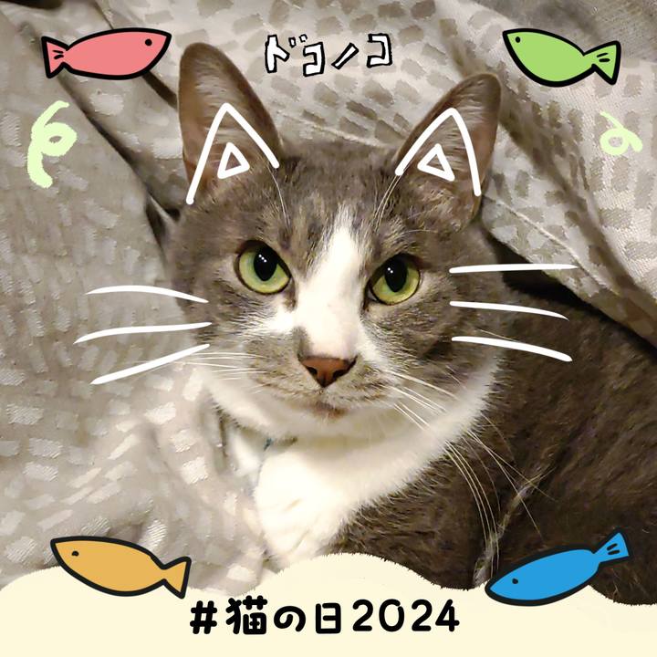 15e4d569 a944 487c a466 dbf7d873714b 1708552971285