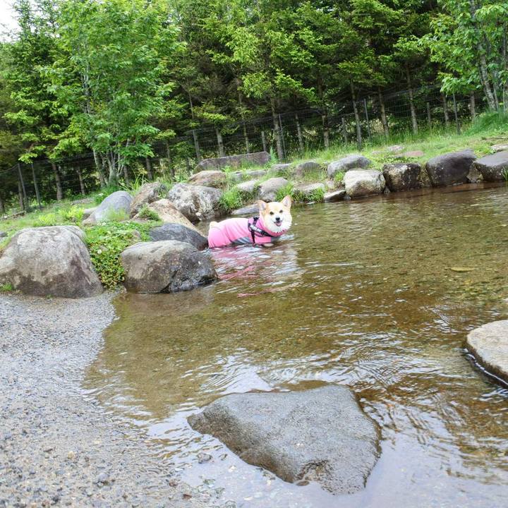 15e4f747 9cb4 4681 8ace 2fc65e550d46 1685025653960