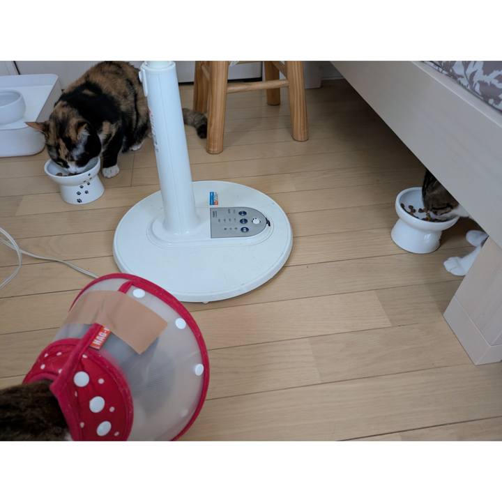 15e54a97 800d 4f09 a1de d5ed1f2bc58a 1750661857451