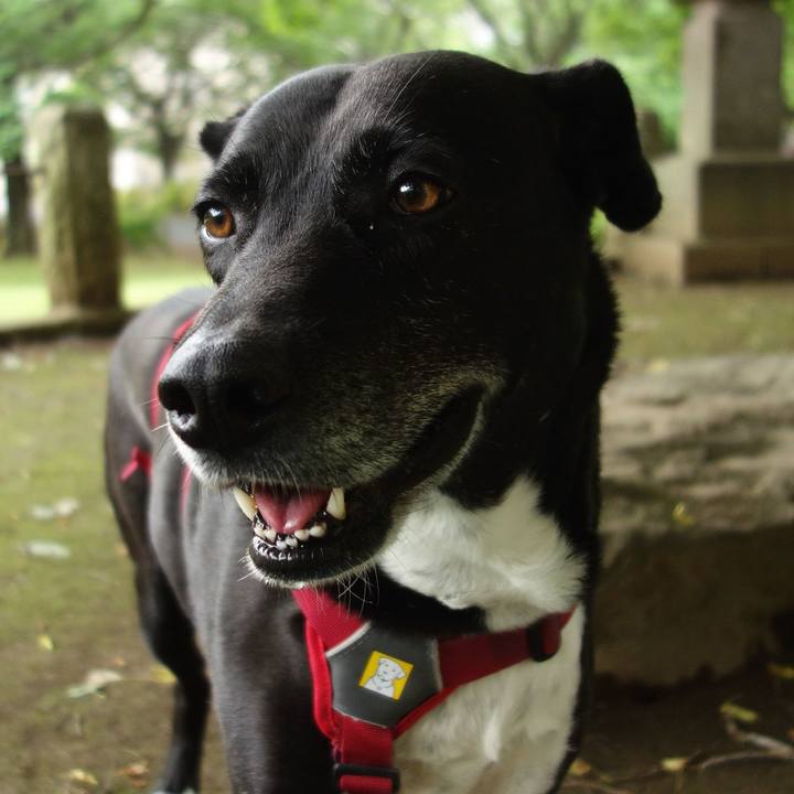 15e5535e 74bd 4b94 b43e 82cd78ac3a3c 1684026072706