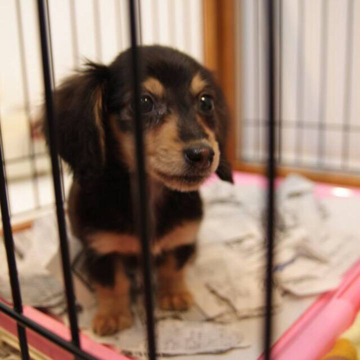 15e59aec a75f 425e b834 2e171b2e5633 1520720273855