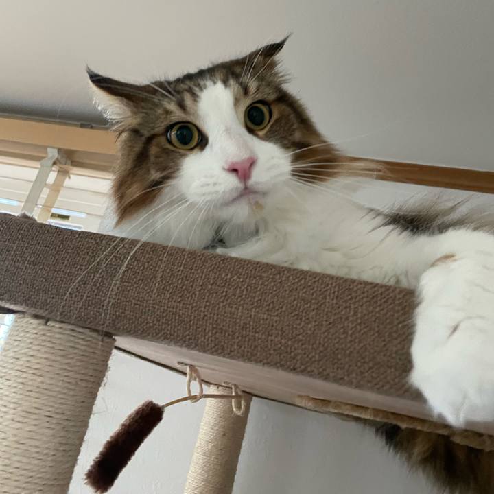 15e5b753 21a5 4f44 bcf3 f15fc9bcb4ba 1657661514459