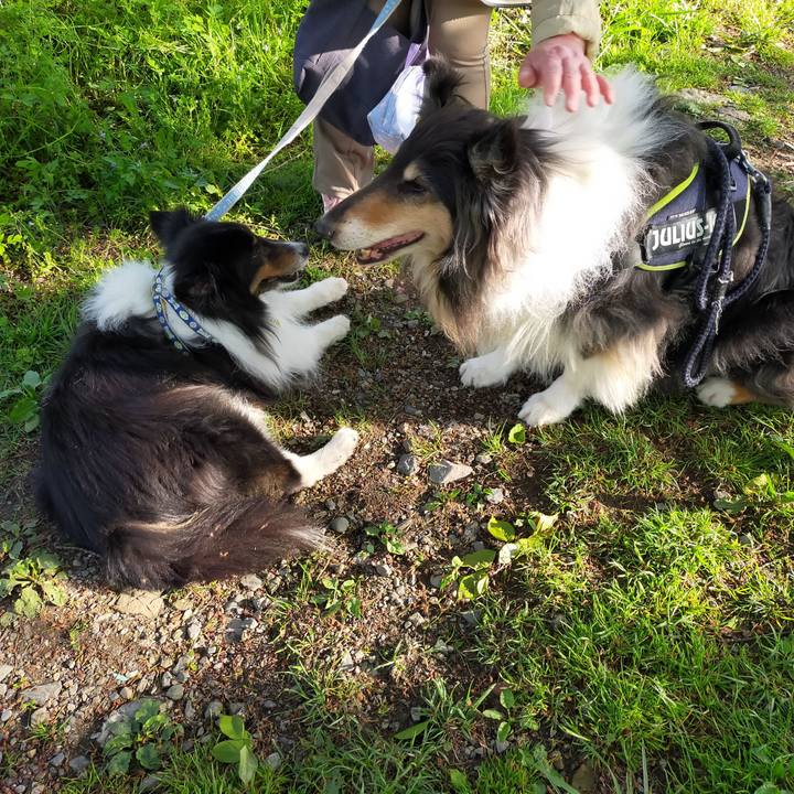 15e5bc93 9f78 42e6 aedd 10ef18271f67 1618824835604