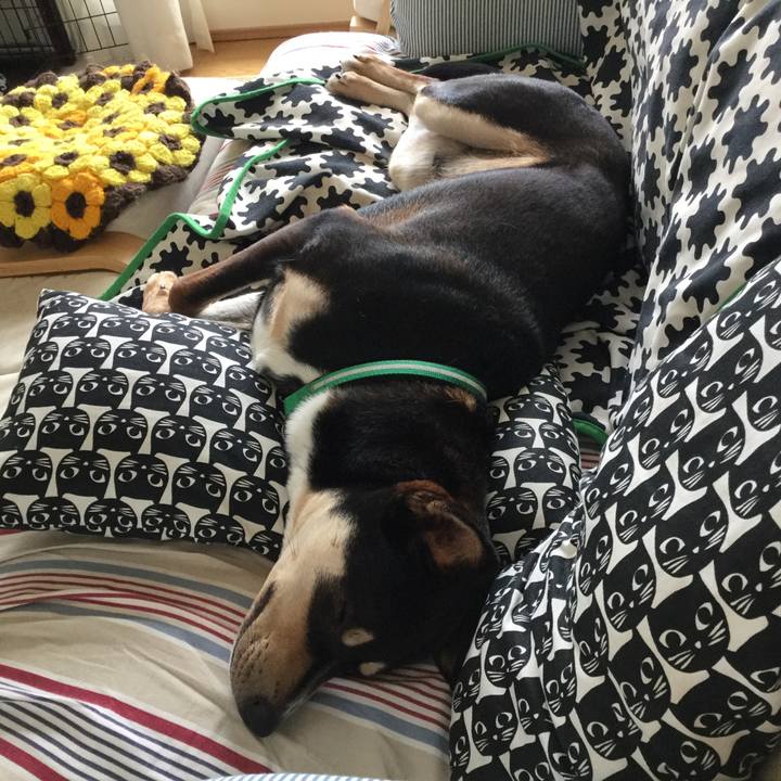 15e5d9ef e5a5 4c42 ad9f 89b3219380f6 1528688461578