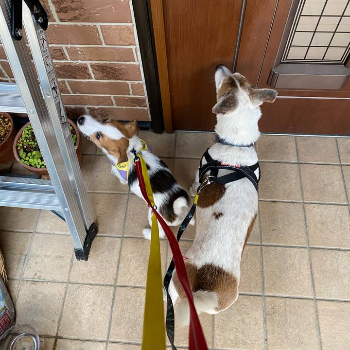 15e5e3a4 706e 46a5 8b3e c12997897e1b 1613775394202