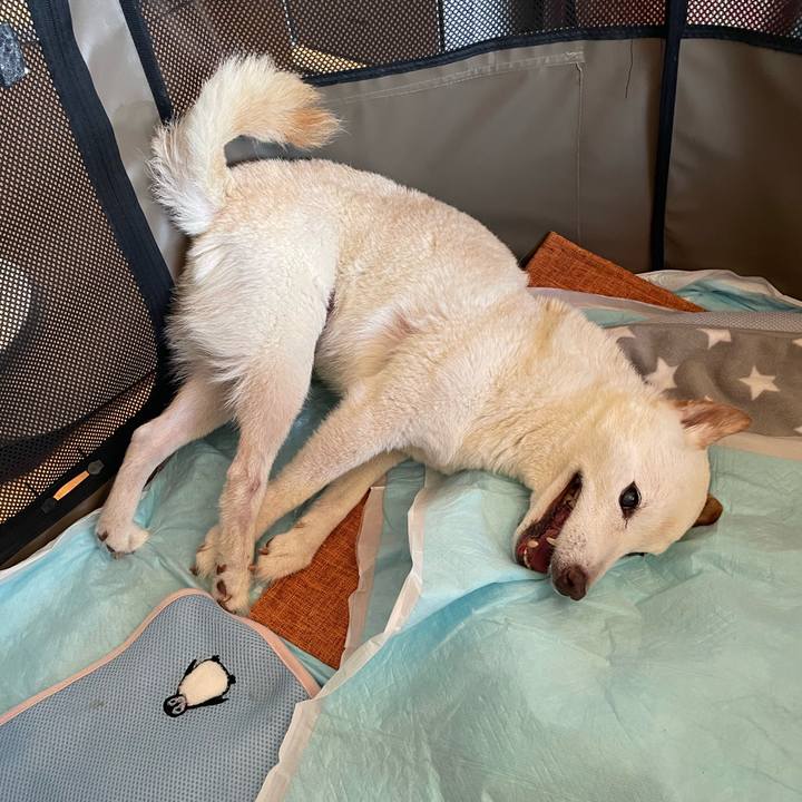 15e5ef9a f07f 41cd baf7 727c0dd2ebbf 1665887408770