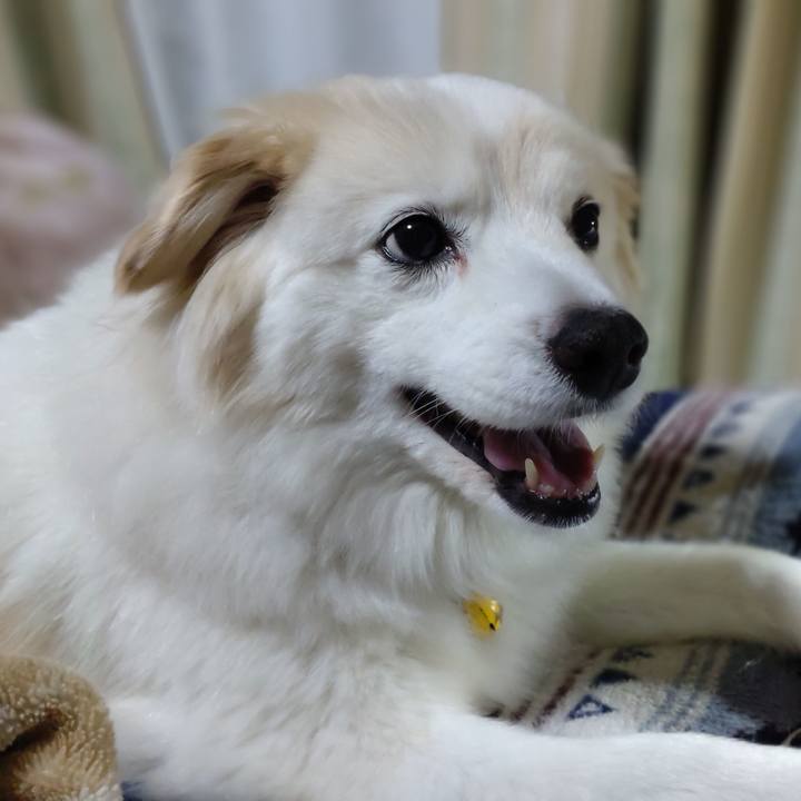 15e60630 0107 460f b4b8 b96d6a75d780 1651007988872