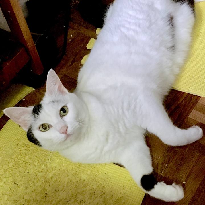 15e61634 3a6a 4c86 95ec 32c3ce3b4fe7 1568089439746