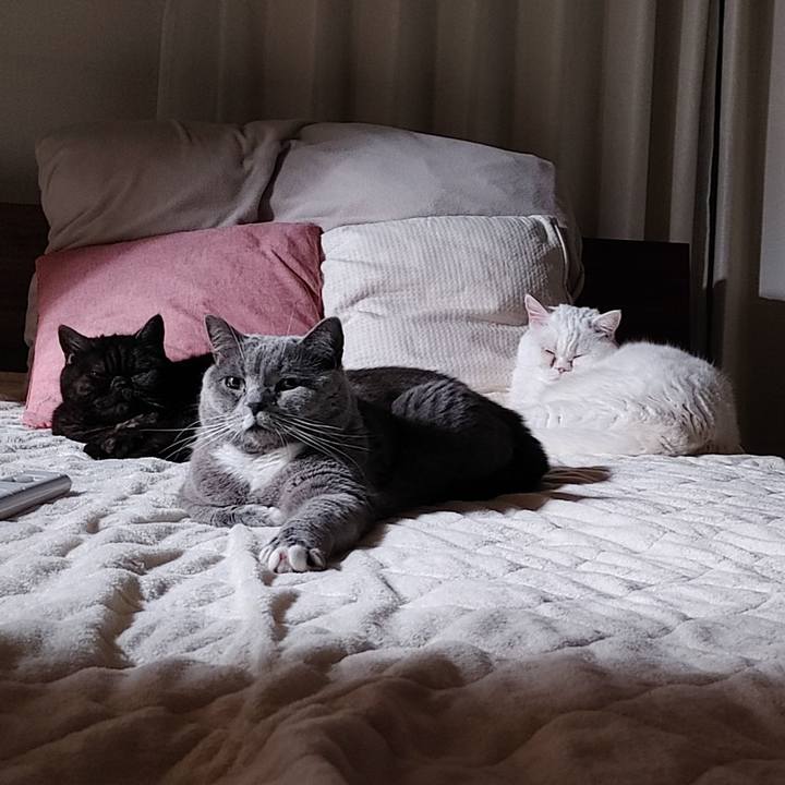 15e629cd 77f9 4a79 93a3 41291774c081 1647957354665