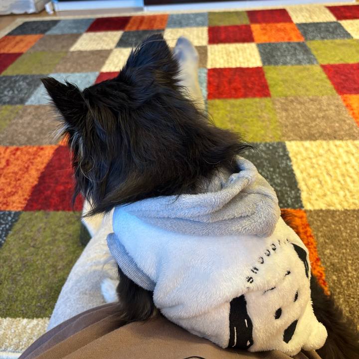 15e633ec 8788 4865 a881 9a97782dd51a 1764520784436