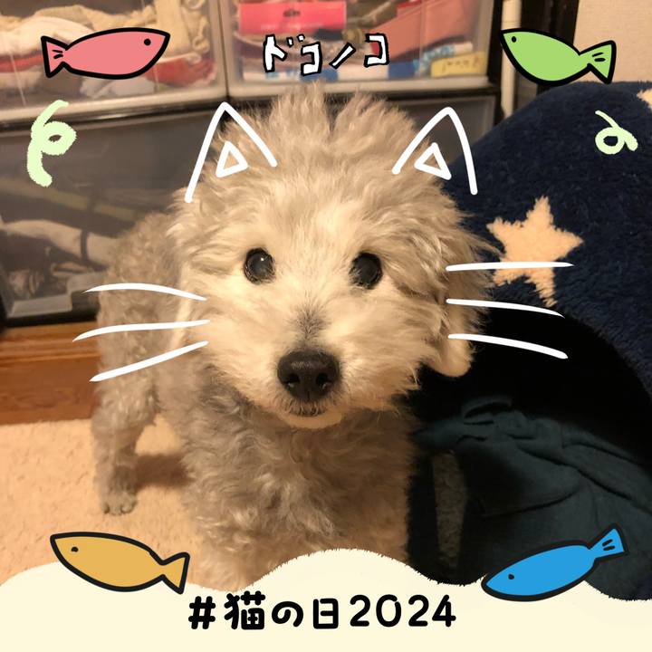 15e6463f 8914 45e3 a41c 110cf84a67c0 1708560605556