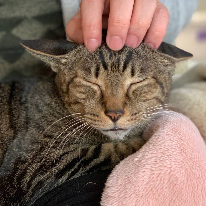 15e64a47 37e3 4172 879f 139dc7d321a6 1553128147778