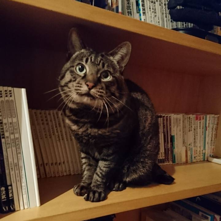 15e67c9b 8bfc 4d70 b403 471f43a508f2 1565663710034