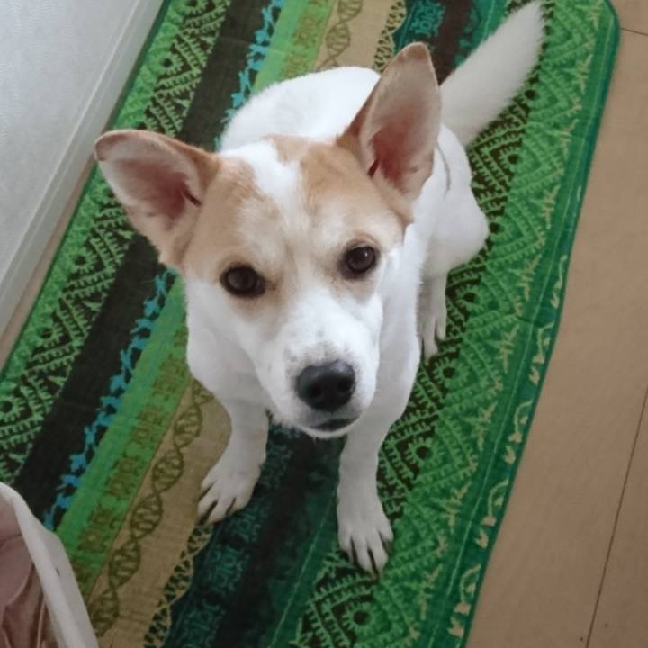 15e69b17 842c 4fe6 a5b0 7b255d6a655c 1553579074668