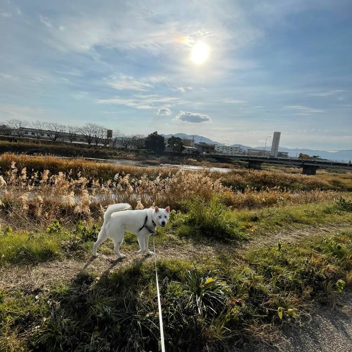 15e6d7e0 2a6e 463f bb31 6121829c583d 1608944287352