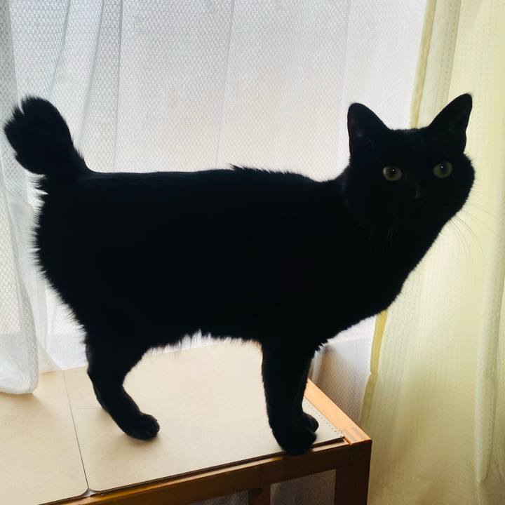 15e6f253 3ae5 426a a7b2 21f6965141e0 1647897827665