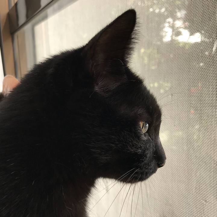 15e70540 a480 4fe3 89c4 6286f3f8b596 1508895822866