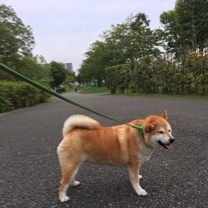 15e70bcb 8c59 45b5 9667 8f74fc93d954 1600591608539