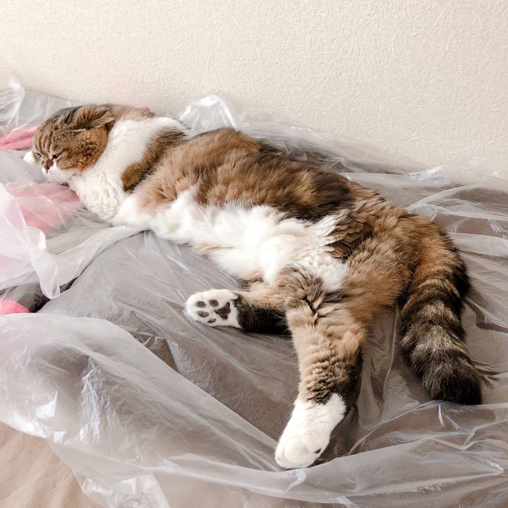 15e7173e ccc4 46f1 bdc3 27574f3193bb 1563592938817