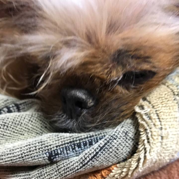 15e73a64 d08b 420a bbd2 704abcd10f41 1545466246337