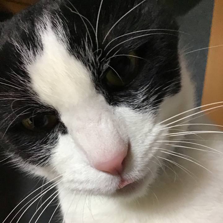 15e74bf8 0239 4f55 8a5b cdfceb7402d5 1737200480964