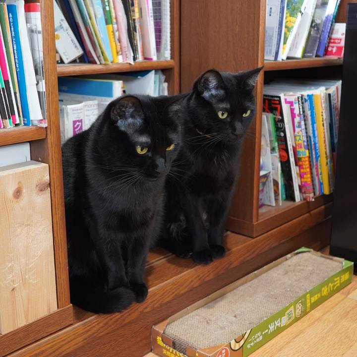 15e76dc5 9681 4fdd 976f 35df6404df6b 1621433904483