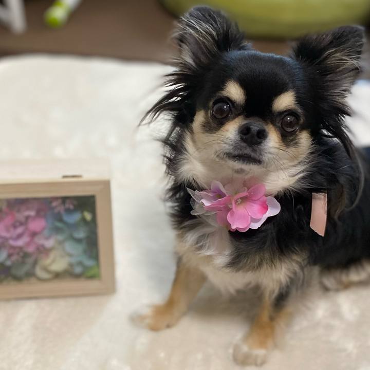 15e770c6 4c47 425b 88e0 6a332e741270 1654890791264