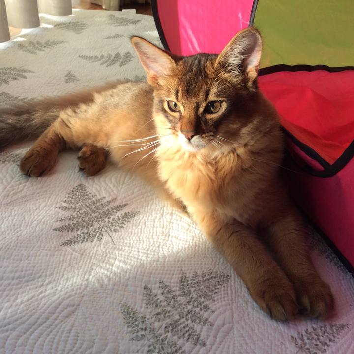 15e77759 4d7e 4900 bbde d22731a0c3e0 1574632690174