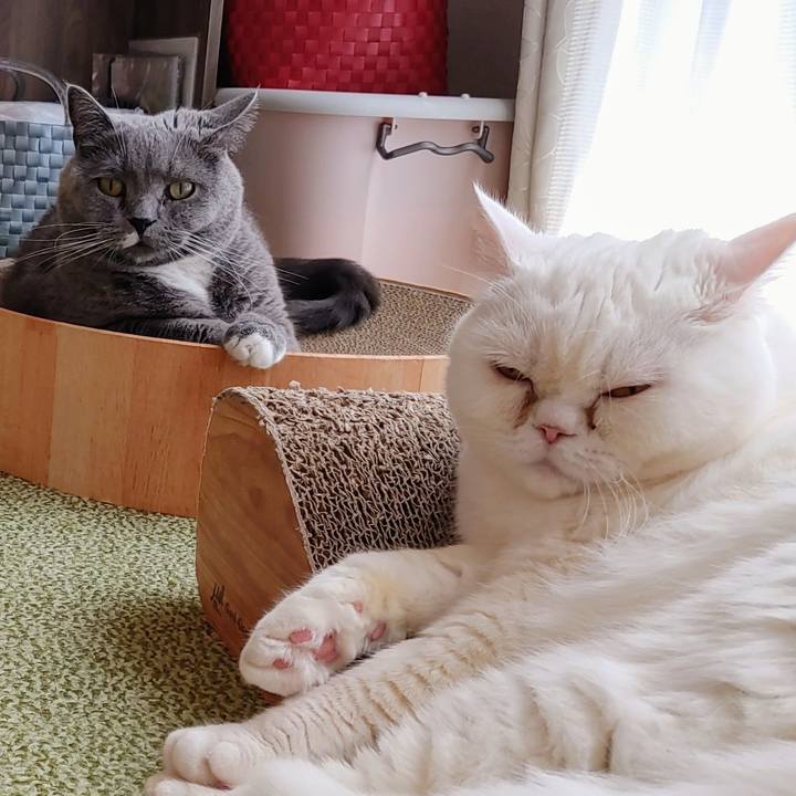 15e7d321 fde8 417b 8917 ffeebbc18536 1669510254074