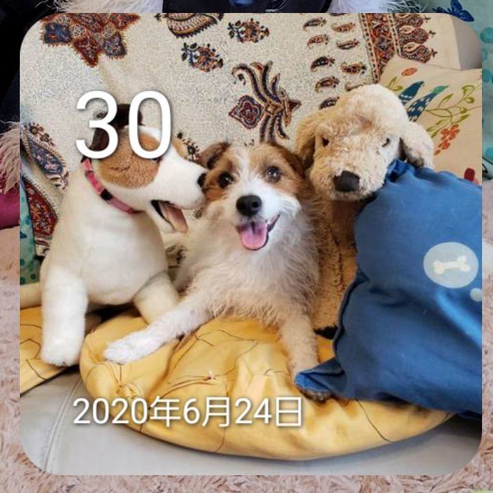 15e7dda8 c6f7 4b2d afc9 8600933341da 1688093316212