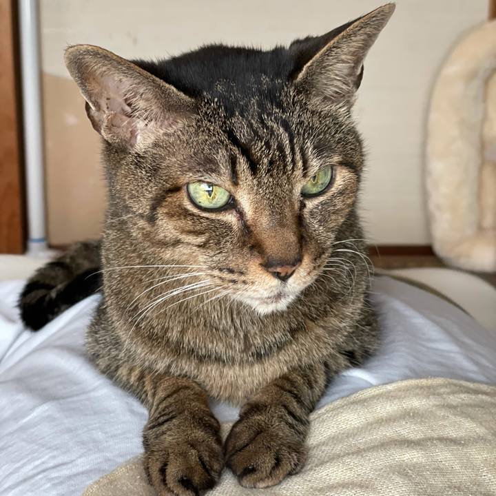 15e7e511 f864 4c57 a758 5fc112476bf6 1622253361662