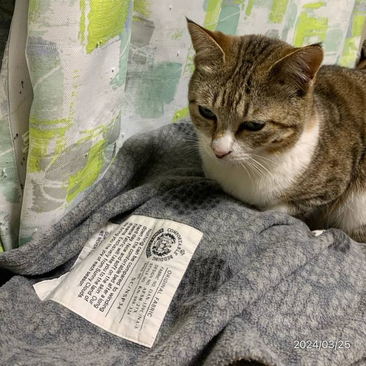 15e7f517 3376 4677 a9b9 d66ad6acc6af 1711404182078