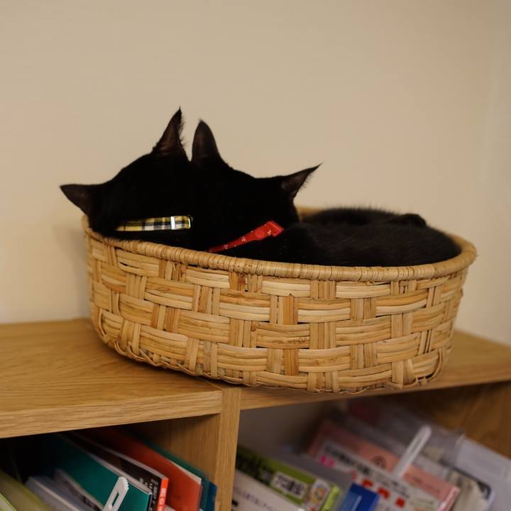 15e7fea6 9234 4546 84b6 7c03d54db2e0 1548042230795