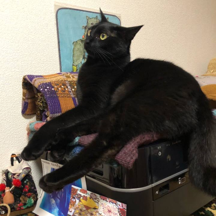 15e80b7c 1b55 4937 b6ec 66e02b6b963b 1527161865536