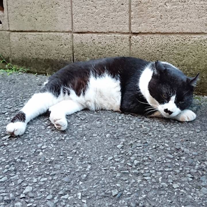 15e82d3a 517a 400f 8277 982637320cc1 1623232480023