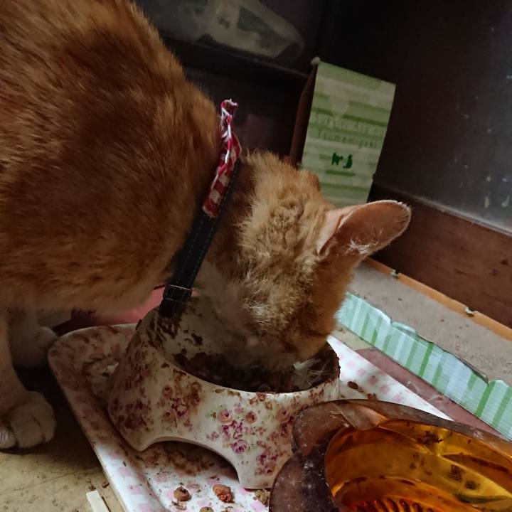 15e872e6 8aa0 4a86 892b af0ee58a110e 1558610462909