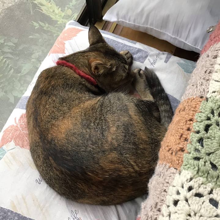 15e8850e e920 4ffc 825e eb77d8b4ac82 1600933192769